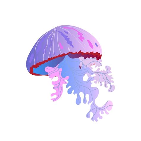 Premium Vector | Jellyfish vector icon vector illustration of a colorful jellyfish on a white ...