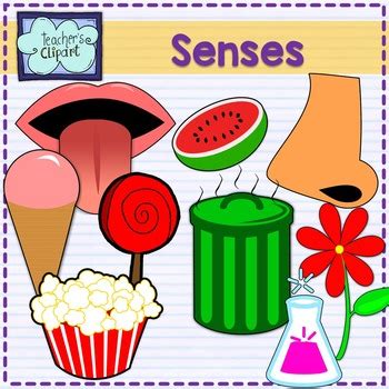 5 senses clipart sight, 5 senses sight Transparent FREE for download on WebStockReview 2021