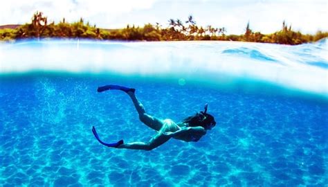 Maui Activities & Tours - Best Prices on the Island - Auntie Snorkel