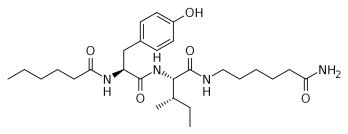 The Benefits of Dihexa_Chemicalbook