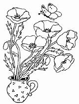 Poppies Coloring Pages  Best For Kids Poppy coloring sketch template