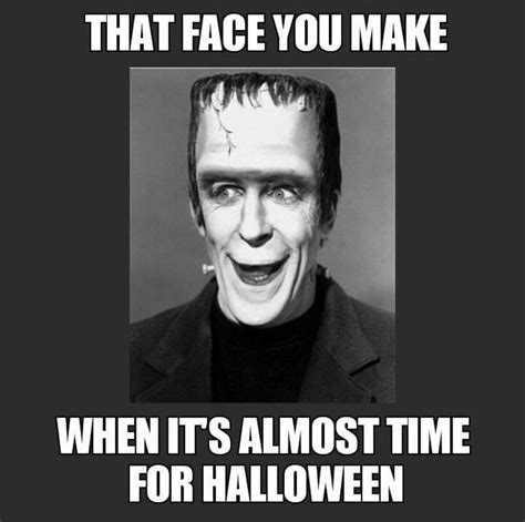 Halloween Memes 2023 to Make You Howl with Laughter | Funny halloween memes, Halloween memes ...