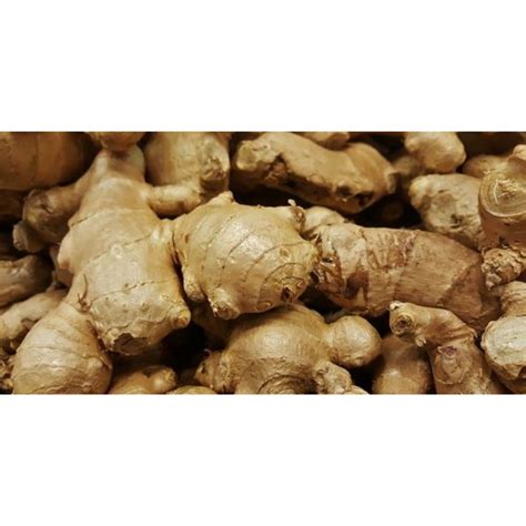 Jual Jahe Putih / Ginger (250 gram) | Shopee Indonesia