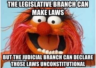 the legislative branch can make laws, but the judicial branch can ...