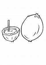 Coloring Pages  Printable Coconut For Kids sketch template