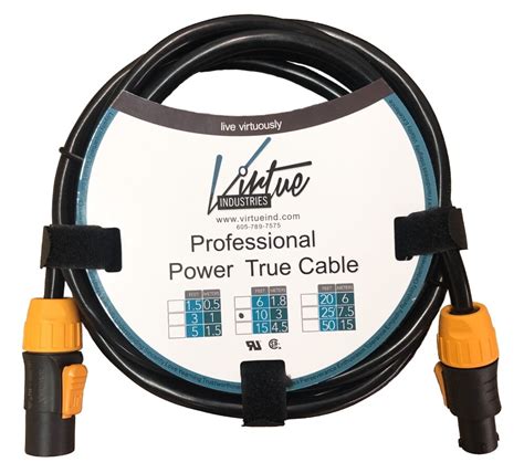 Professional Power True 10 Foot Extension Cable