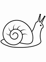 Easy Land Snail coloring Page sketch template