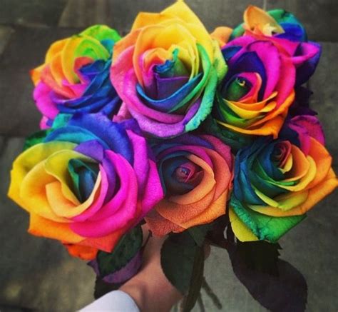 17 Best images about Rainbow Roses on Pinterest | Flower, Bouquets and Bouquet of roses