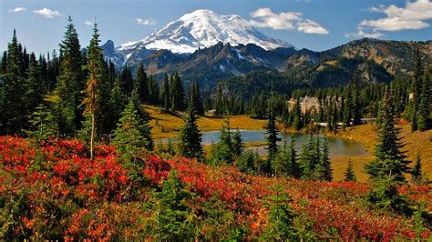 Discover Mt. Rainier National Park from Seattle, Washington - YouTube