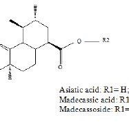 Structure of triterpene compounds of C. asiatica (Glu:Glucose, Rha:... | Download Scientific Diagram