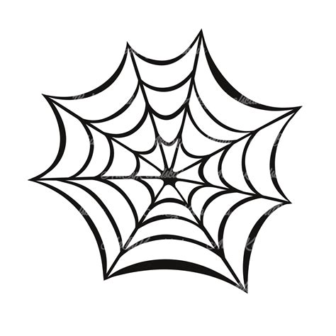 Spider Web Png