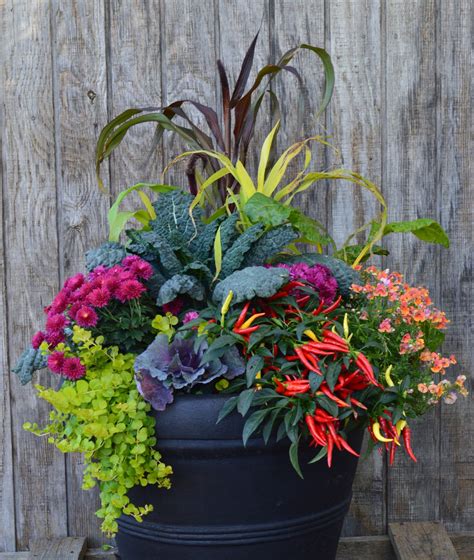 Top 103+ decorating flower pots for fall latest - noithatsi.vn