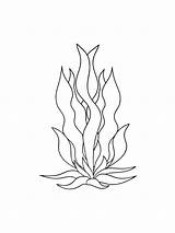 Seaweed coloring pages sketch template