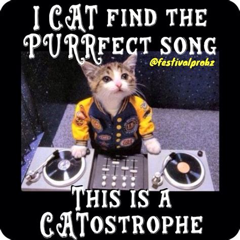 Cat Dj,..so kawaii | Cats, Purrfect, Trance