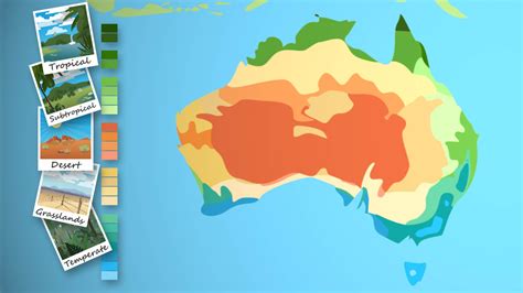 Vegetation Zones In Australia - Andi Healthy