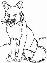 Coloriage Petit Loup  Télécharger Et Imprimer Gratuit Sur sketch template