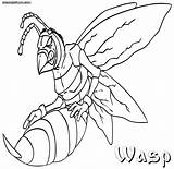Wasp Coloring Pages  Nation sketch template
