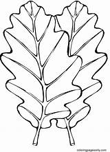 50  Autumn Leaves Coloring Pages Free Printable PDF & Online sketch template