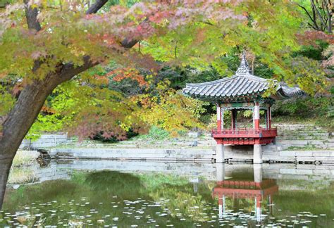 Secret Garden in Changdeokgung Palace, UNESCO World Heritage Site ...