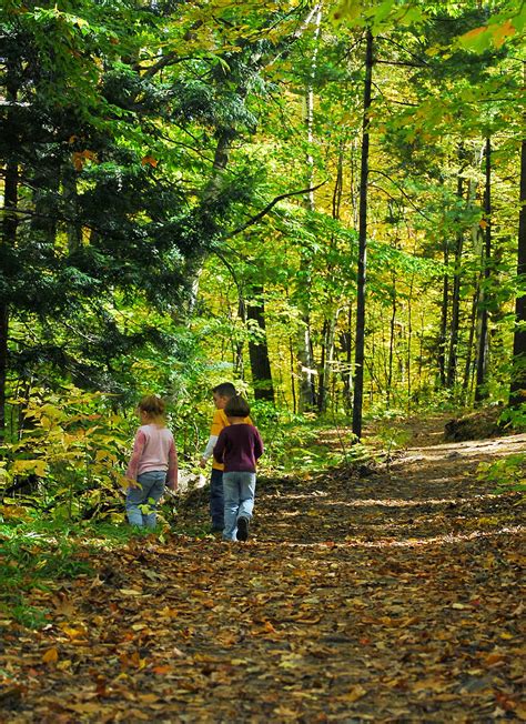 Day Hiking Trails: Hiking game for children: Game Show