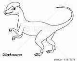 Gallimimus Coloring Pages sketch template