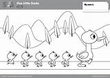 Five Little Ducks Coloring Pages  Super Simple sketch template