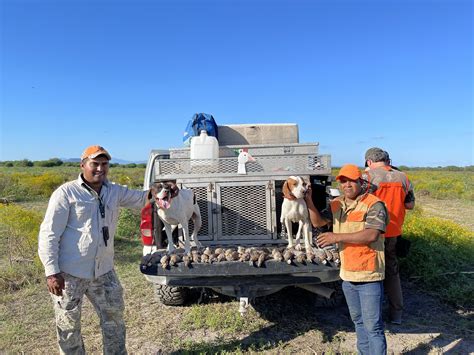 Wild Quail Hunting in Mexico | Rancho Ala Blanca