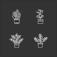 Zz Plant Vector Art, Icons, and Graphics for Free Download