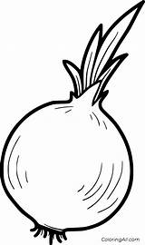 Onion Coloring Pages 14 Free Printables  ColoringAll sketch template