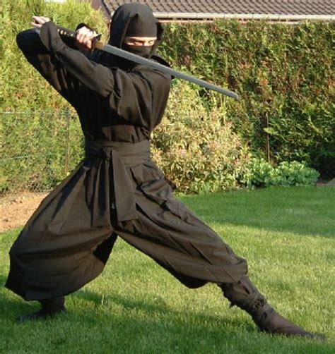 Ninjutsu, Japanese Martial Art of Ninja Espionage | HubPages