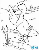 Coloriage Des Animaux De La Ferme  Le Canard Un Joli Dessin Pour Les sketch template