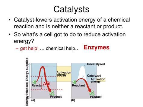 PPT - Catalysts PowerPoint Presentation, free download - ID:2683737