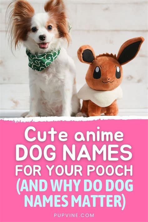 Cute Anime Dog Names for Your Pooch (And Why Do Dog Names Matter) | Dog names, Cute names for ...