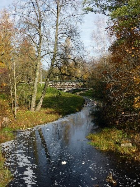 Latvia nature outside Free stock photos in JPEG (.jpg) 2736x3648 format ...