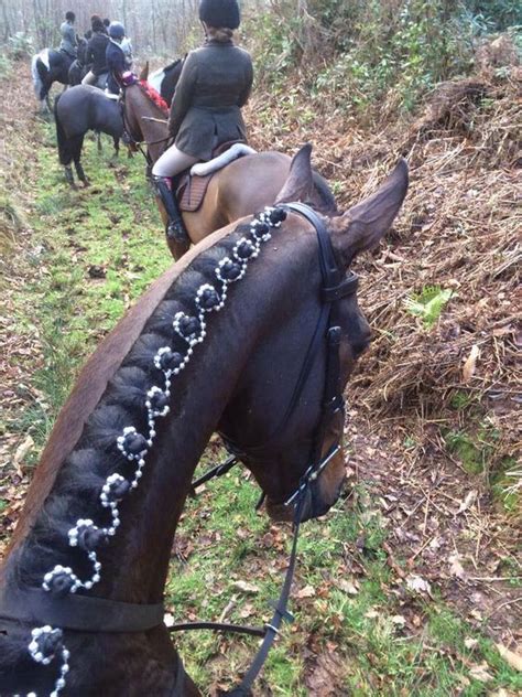 Horse Braids: 10 Braided Manes Every Equestrian Will Envy | Horse braiding, Horse mane braids ...