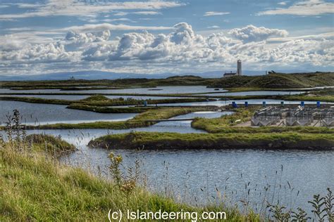 Walney Island Camping | Islandeering