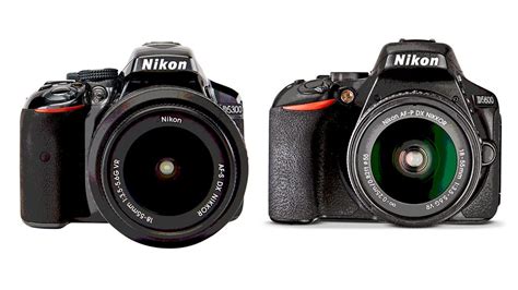 Nikon D5300 vs D5600: Which camera should you buy? | Digital Camera World