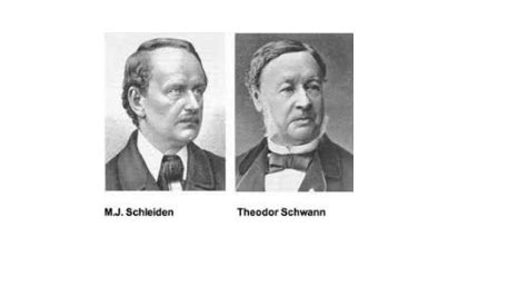 Theodor Schwann Cell Theory