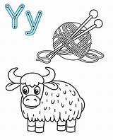 Letter Y Yak Yarn Vector Coloring Book Alphabet Printable Page  sketch template