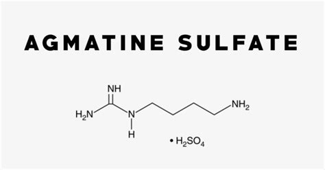 Agmatine Sulfate: Uses, Side Effects, Interactions, Dosage and Supplements