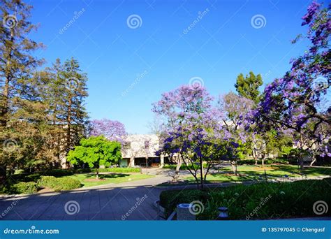 The campus of Caltech stock image. Image of america - 135797045