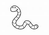 Coloring Page Worm  Free Printables Img 18168 sketch template