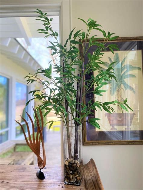 Faux 44"H Bamboo Stalk in Glass | Bamboo stalks, Container flowers ...