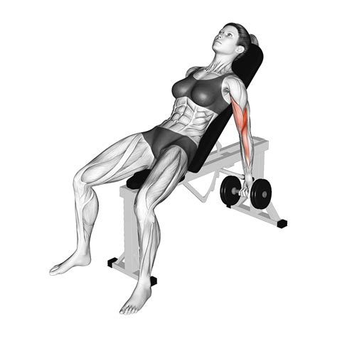 Incline Dumbbell Curl: Benefits, Muscles Worked, and More - Inspire US