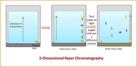 What Is Paper Chromatography? Principle And Procedure