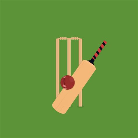 Premium Vector | Cricket bat and ball equipment set illustration