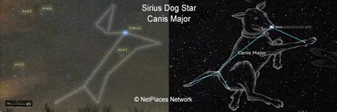 SIRIUS, THE DOG STAR AND YOUR HOROISCOPE | TheDogPress.com