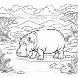Hippopotamus Coloring Pages 31  Gem sketch template