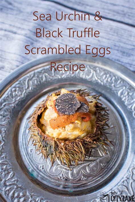 Sea Urchin & Black Truffle Scrambled Eggs: Recipe - The City Lane | Scrambled eggs recipe ...