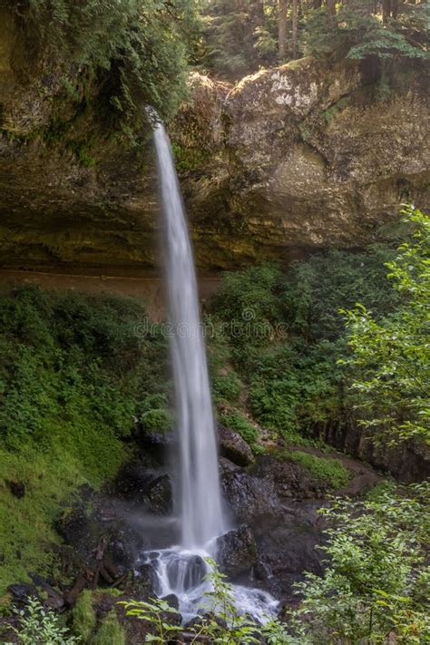 Silver creek falls stock photo. Image of oregon, creek - 96123228